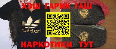 МДПВ Сланцы