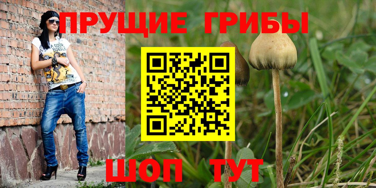 Обь  Галлюциногенные грибы Psilocybe  Вход с VPN  Псилоцибиновые грибы ЛСД 