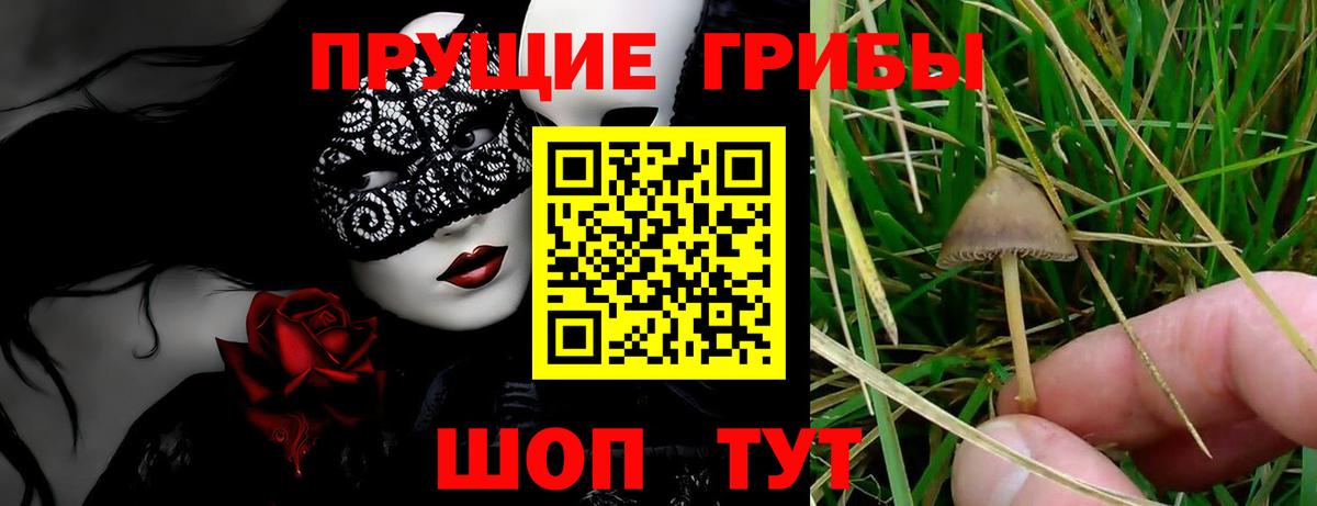 Галлюциногенные грибы мицелий Обь